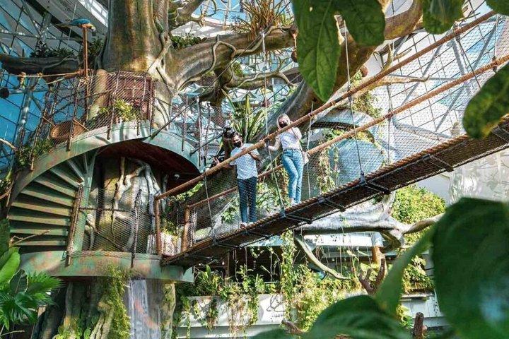 O Ingresso do Planeta Verde em Dubai