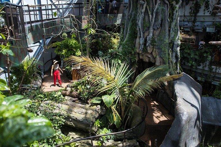 O Ingresso do Planeta Verde em Dubai