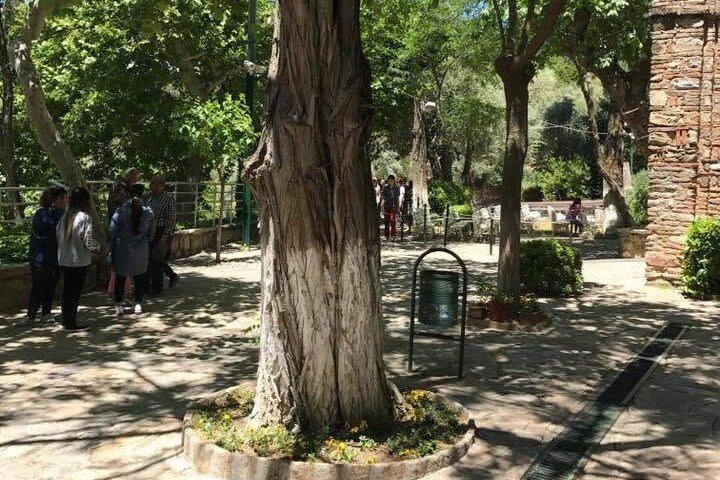 Fully Customizable Private Ephesus Tour On Time Return-Skip Line