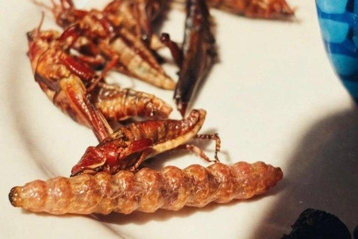 フラダ・カフカ博物館入場付きコヨアカン文化・グルメツアー