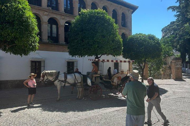 マルベーリャ闘牛場からのプライベート・ロンダ日帰り旅行：タパスとドリンク