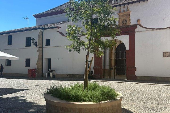 マルベーリャ闘牛場からのプライベート・ロンダ日帰り旅行：タパスとドリンク