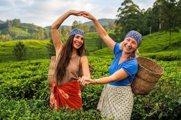 ヌワラエリヤ茶摘みと試飲、滝ツアー