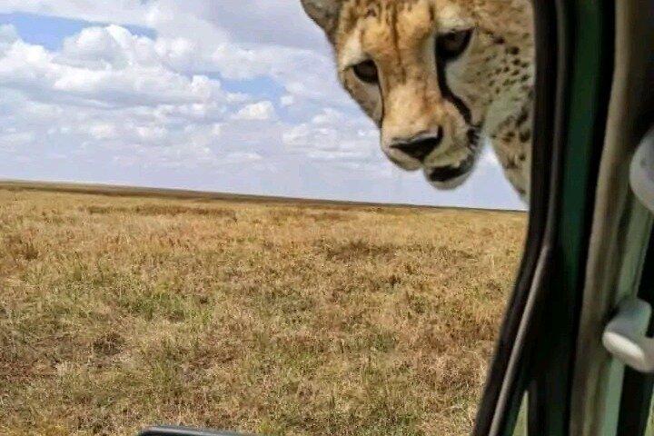 7 Day Tanzania Migration Safari