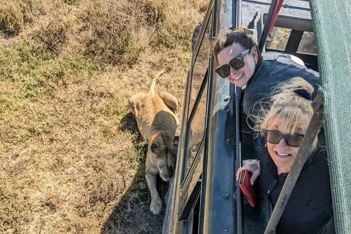 7 Day Tanzania Migration Safari