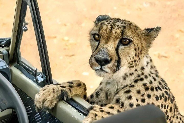 7 Day Tanzania Migration Safari