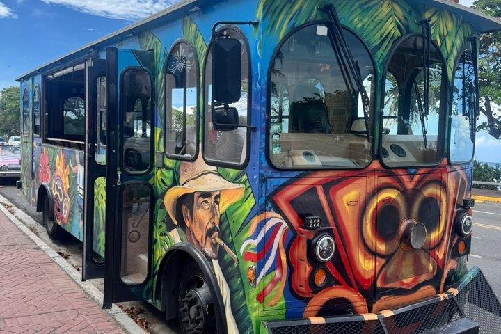 Puerto Plata Panoramic Party Train and City Vibes