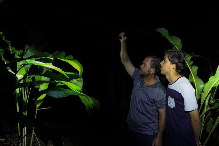 アレナル火山の近くのラ・フォルトゥナ野生動物ウォーキングナイトツアー