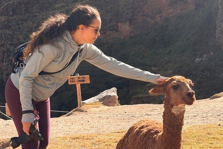 Tour privato della Valle Sacra degli Incas