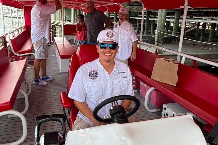 Island Dolphin Tours