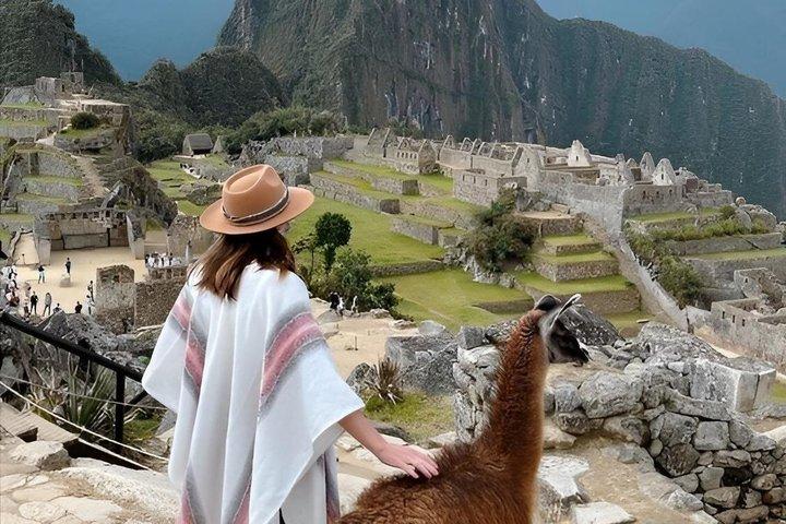 Machu Picchu Experience with Official Ticket Bus and Guide