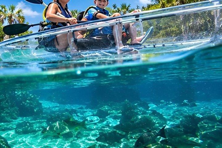 Rainbow Springs Wildlife Guided Eco and Snorkel Tour
