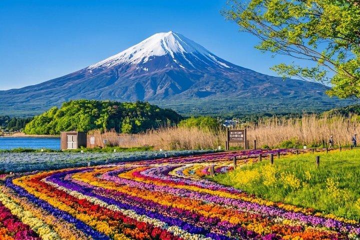 Mount Fuji Adventures Private Customized Tour With Hotel Pick Up
