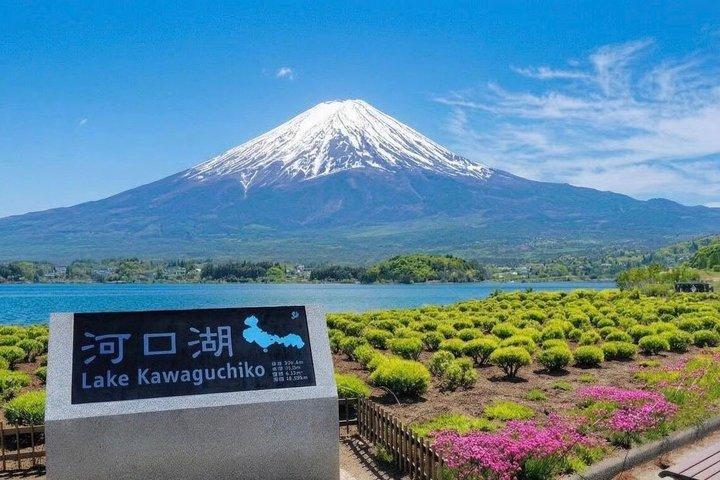 Mount Fuji Adventures Private Customized Tour With Hotel Pick Up