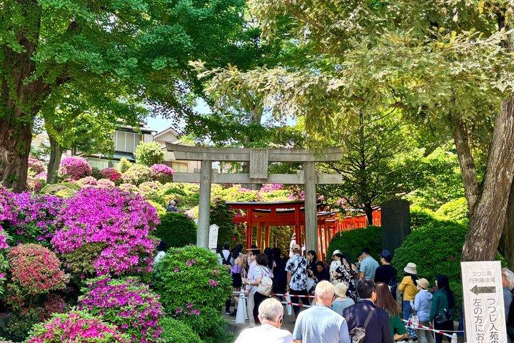 Tokyo Private Sonderfahrt mit Auto und Ortskundigem Reiseleiter