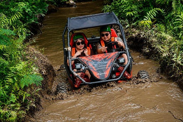 Bali : Ubud Buggy Adventure Dragon Cave, vandfald, risfelt, mud