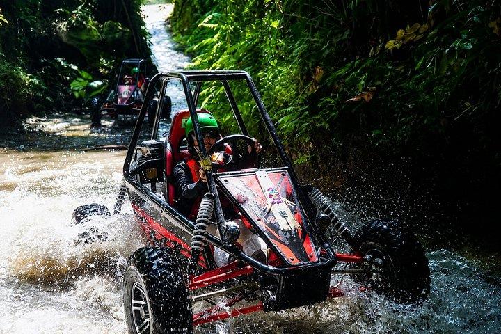 Bali : Ubud Buggy Adventure Dragon Cave, vandfald, risfelt, mud