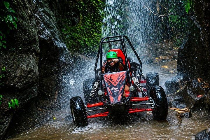 Bali : Ubud Buggy Adventure Dragon Cave, vandfald, risfelt, mud