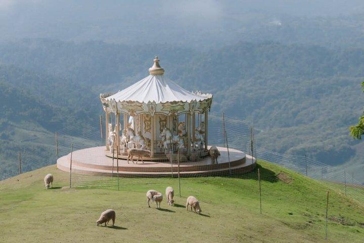 チェンライ寺院プライベートツアーとその他のオプション