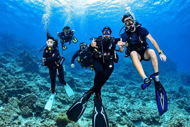 パタヤでの3ダイブ認定スキューバダイビングアドベンチャー