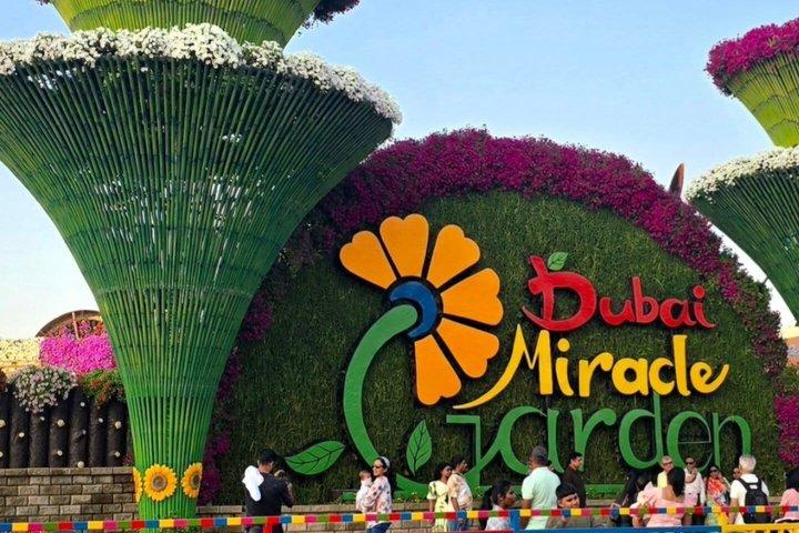Biglietto d'ingresso al Miracle Garden Dubai con opzione di trasferimento