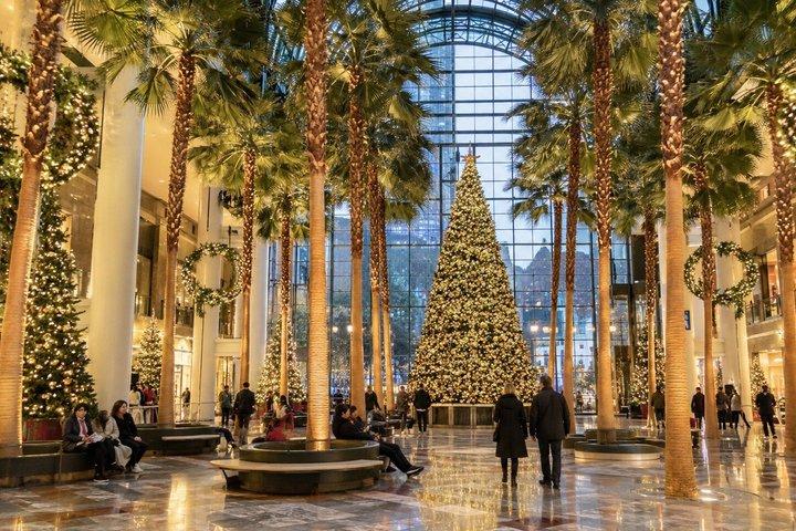 ニューヨーク ダウンタウン クリスマス プライベートツアー ウォール街と市場