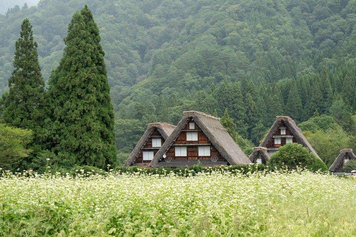 京都から新幹線で白川郷＆金沢へ