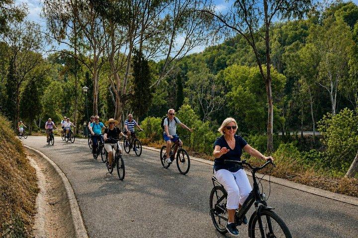 マラガEバイクツアー：旧市街、ギブラルファロの森、海岸