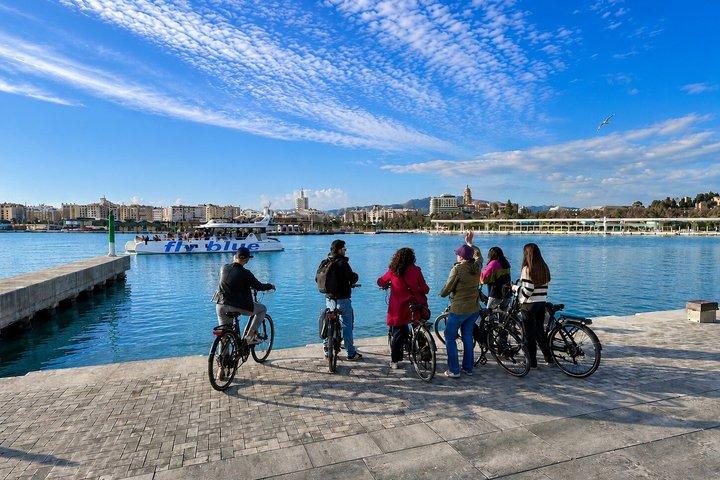 マラガEバイクツアー：旧市街、ギブラルファロの森、海岸