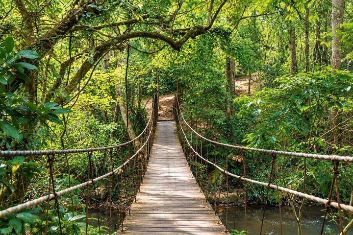 ユネスコカオヤイ国立公園アドベンチャー： ハイキング&ウォーターフォールズ