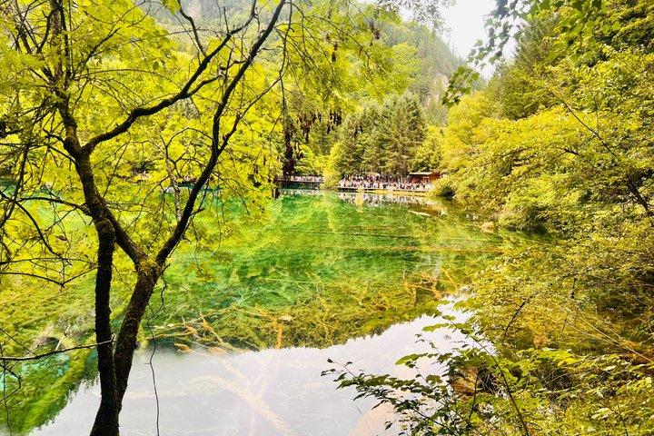 Jiuzhaigou One Day Tour from Chengdu by High Speed Train