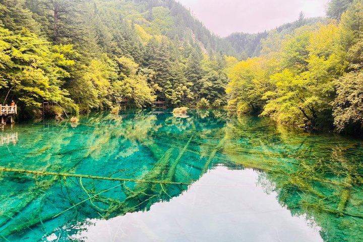 Jiuzhaigou One Day Tour from Chengdu by High Speed Train