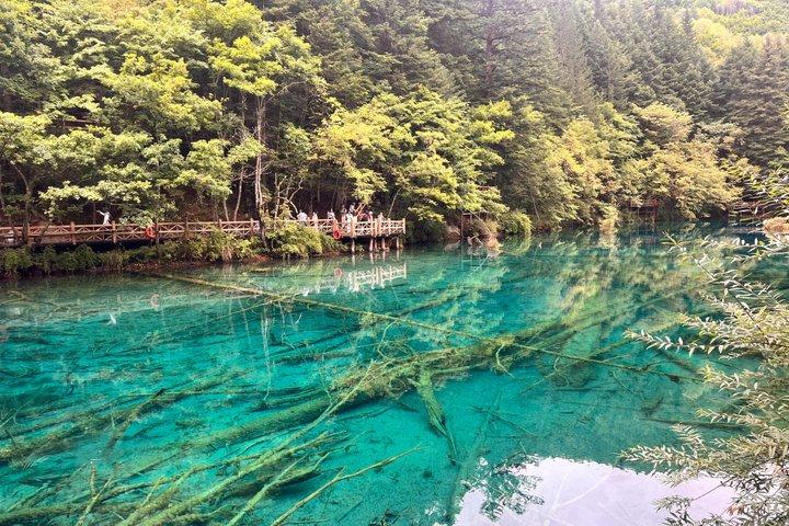 Jiuzhaigou One Day Tour from Chengdu by High Speed Train
