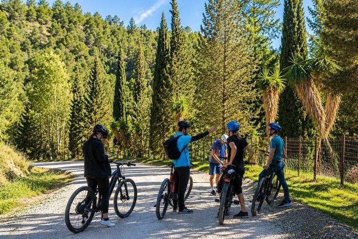 モンテス・デ・マラガ自然公園 E-マウンテンバイクツアー