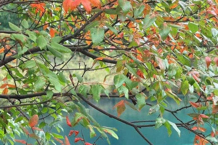 Jiuzhaigou One Day Tour from Chengdu by High Speed Train