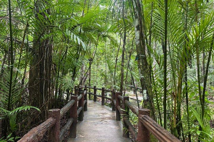 クラビのサンライズとジャングルツアー 温泉 エメラルドプール