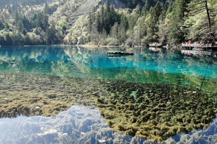 Jiuzhaigou One Day Tour from Chengdu by High Speed Train