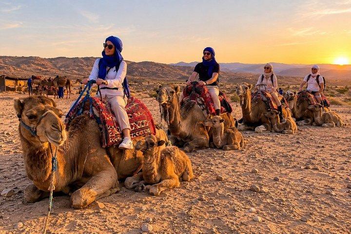 マラケシュ アガファイ砂漠 四輪バギー カメロ乗車 夕食とファイヤーショー
