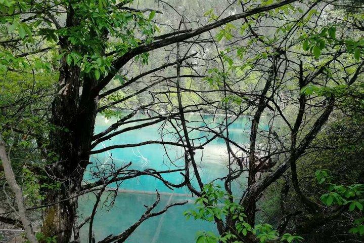 Jiuzhaigou One Day Tour from Chengdu by High Speed Train