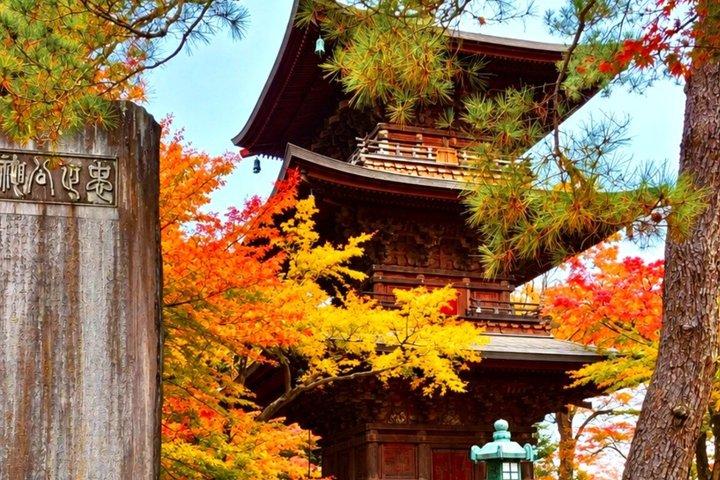 東京:玉川上水の招き猫寺と地元猫の街を散策