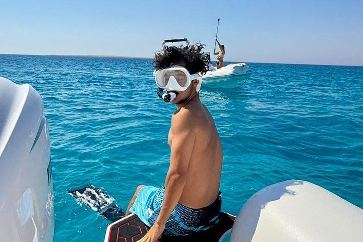 ハルガダプライベートスピードボートイルカ、シュノーケリング、ホワイトアイランド