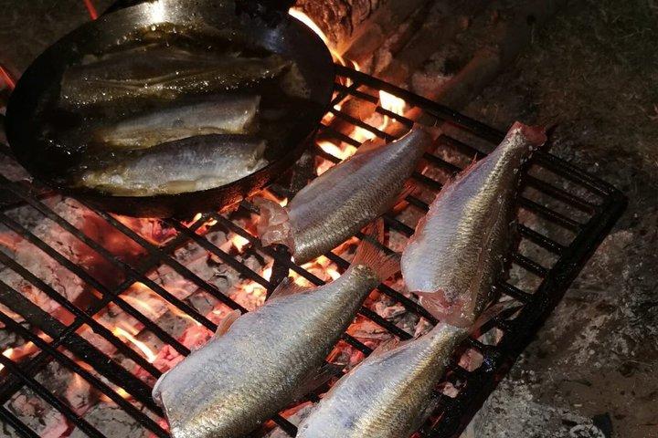 テイルズ オブ レジリエンス ブカレストのユダヤ人遺産プライベート浸漬