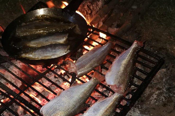 テイルズ オブ レジリエンス ブカレストのユダヤ人遺産プライベート浸漬