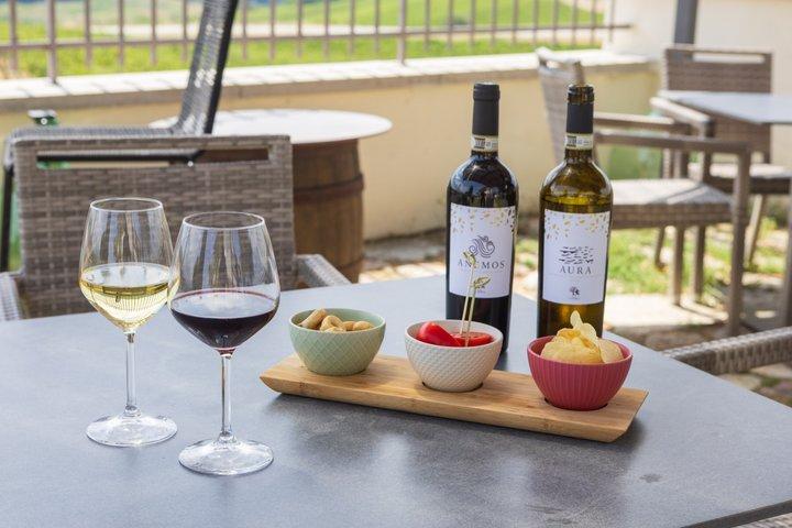 San Gimignano: Authentic Tuscan Cooking Class & Wine Tasting