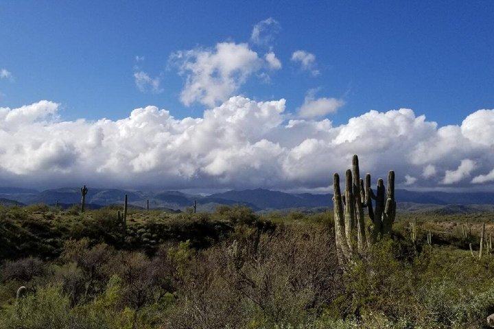 Passeios pelo Deserto Off Road a minutos de Phoenix
