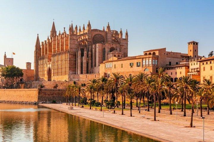 VIP Shore Excursion Palma Castle and Cathedral Small Group