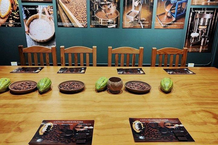 Chocolate tasting learn like a professional