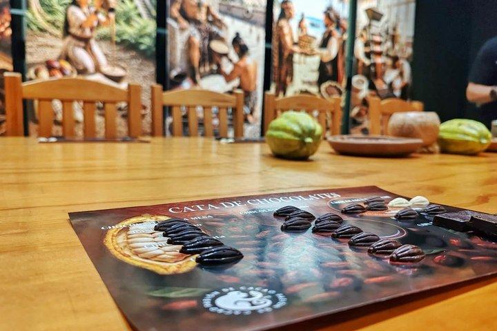 Chocolate tasting learn like a professional