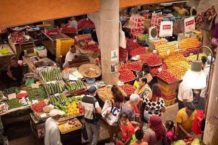 North Mauritius Highlights Tour with Guide and Transfers