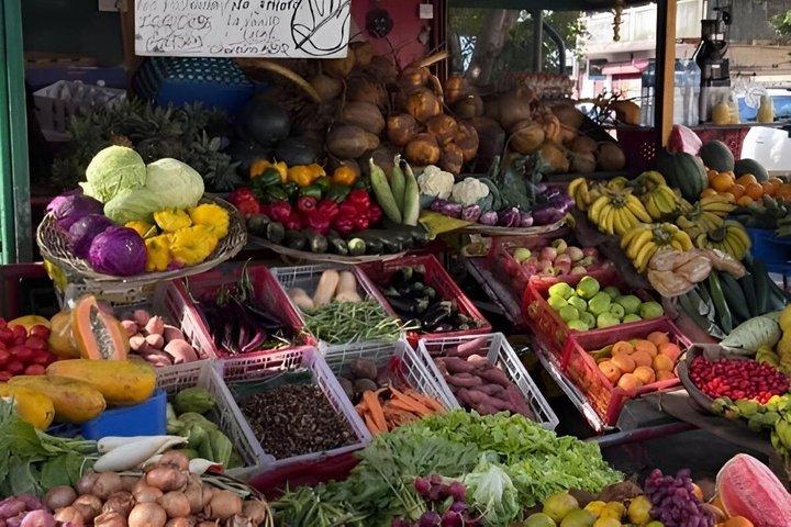 North Mauritius Highlights Tour with Guide and Transfers